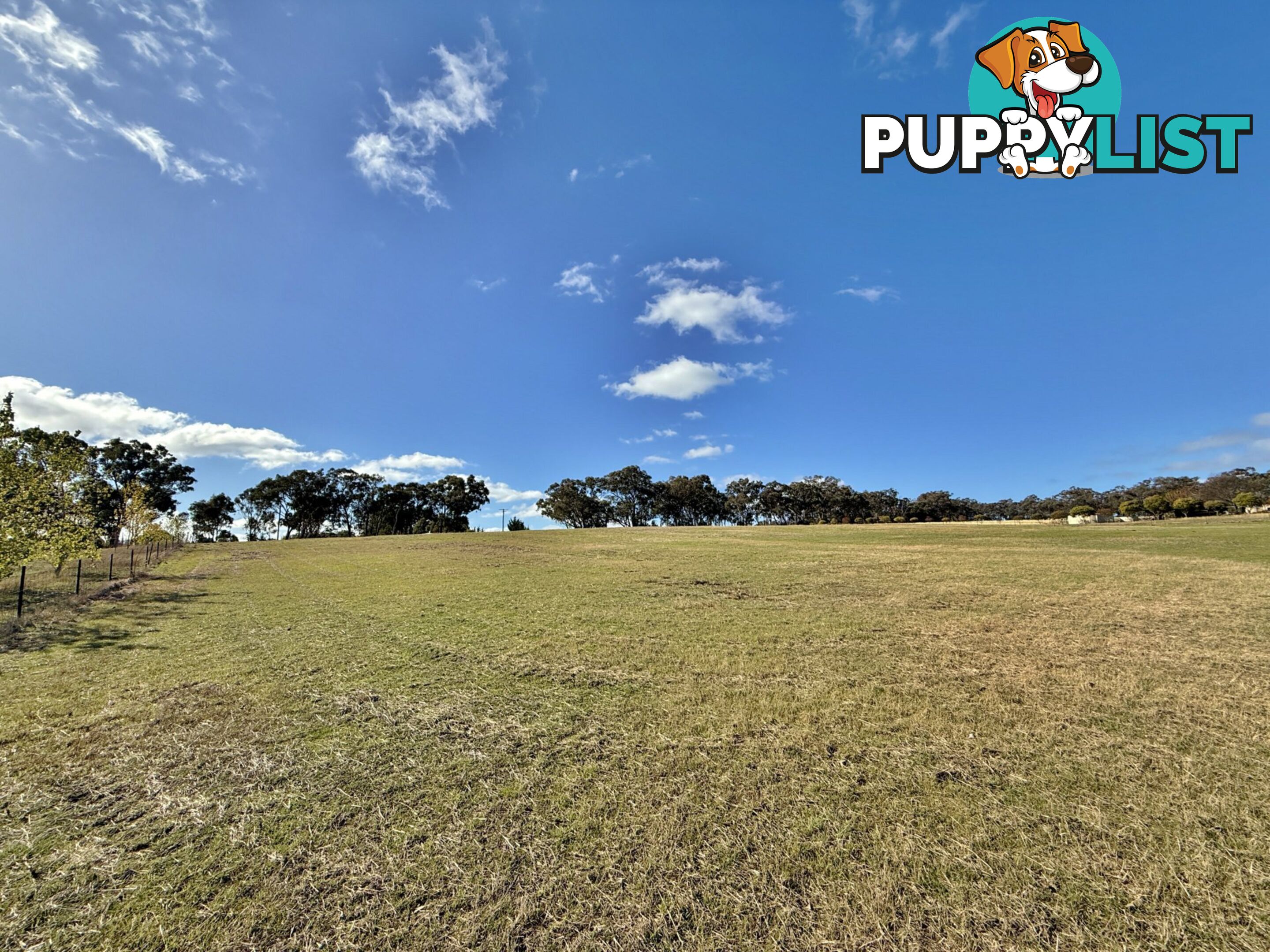 78 Isaacs Road YOUNG NSW 2594