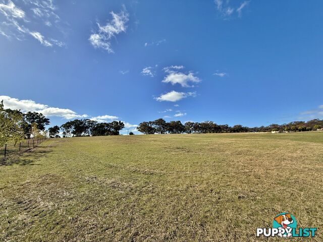 78 Isaacs Road YOUNG NSW 2594