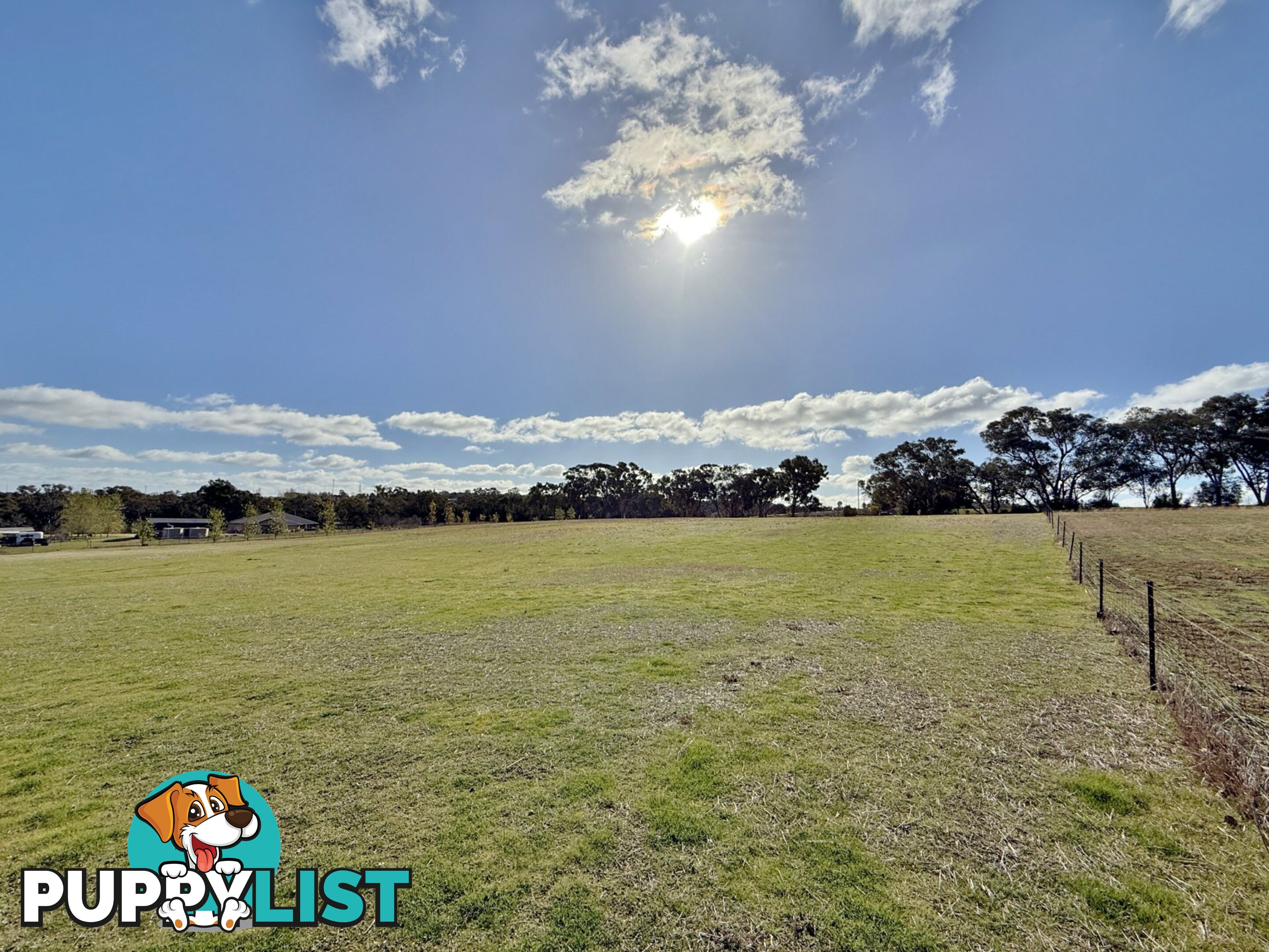 78 Isaacs Road YOUNG NSW 2594