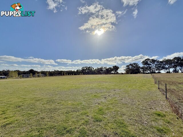 78 Isaacs Road YOUNG NSW 2594