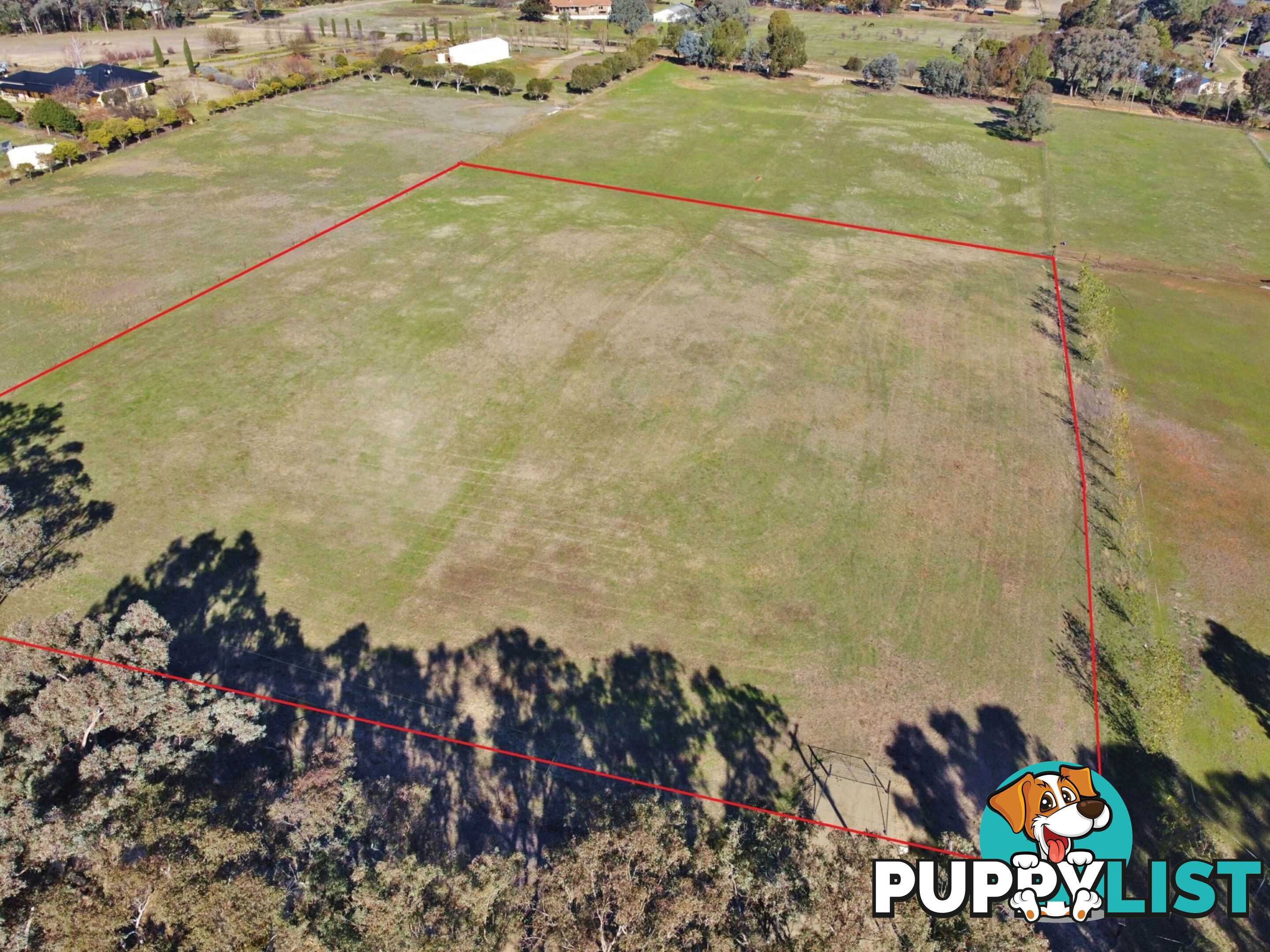 78 Isaacs Road YOUNG NSW 2594