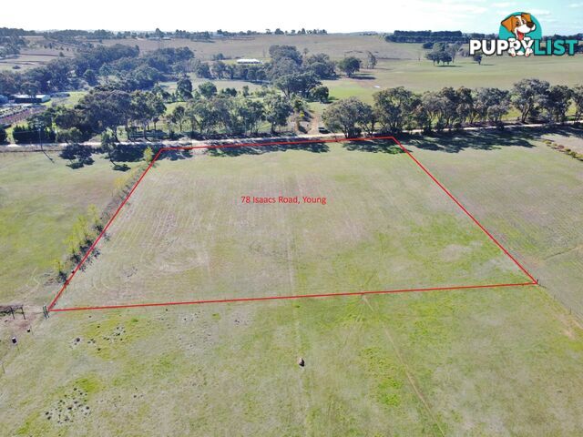 78 Isaacs Road YOUNG NSW 2594