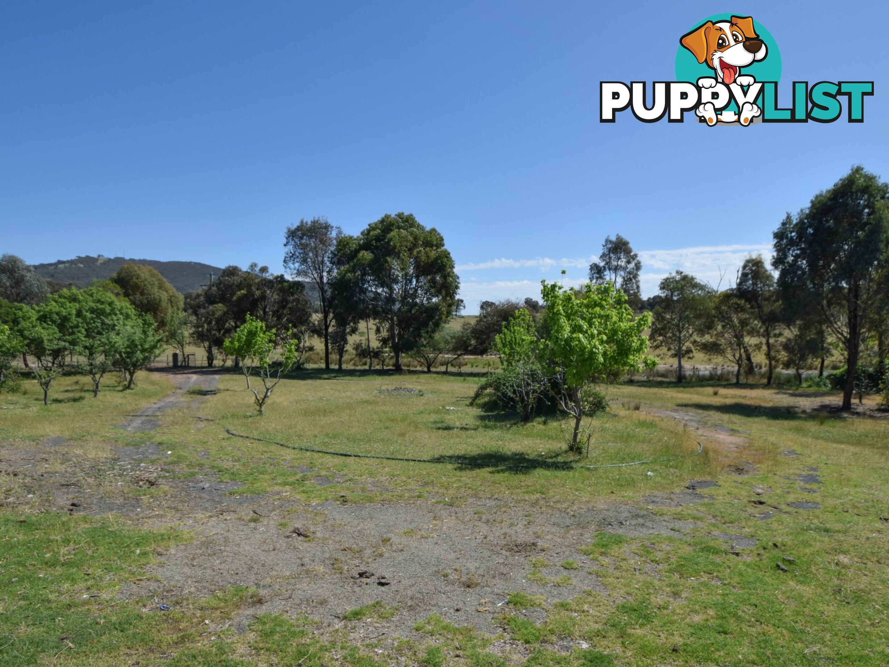 3514 Olympic Highway BETHUNGRA NSW 2590