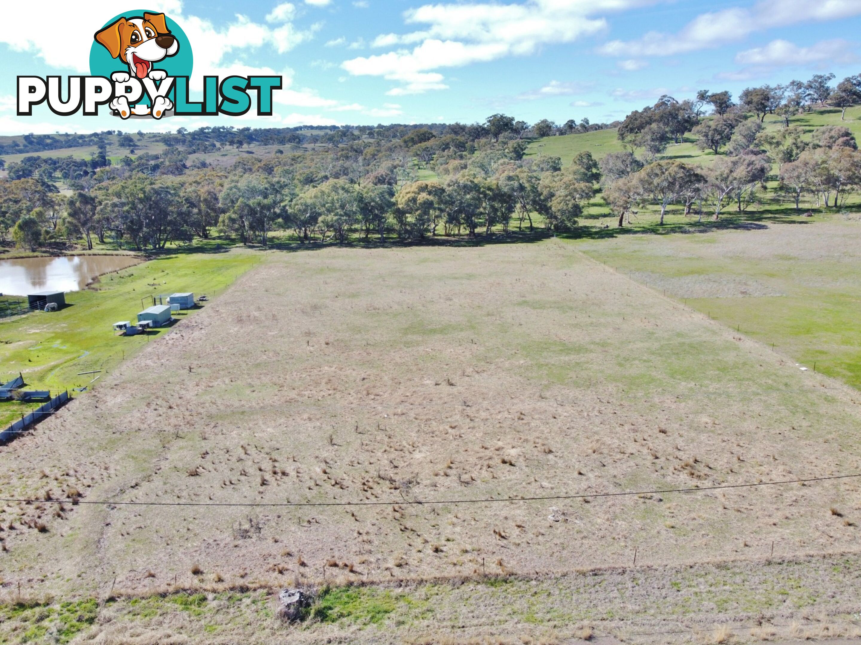 44 Dowling Drive Murringo, via YOUNG NSW 2594