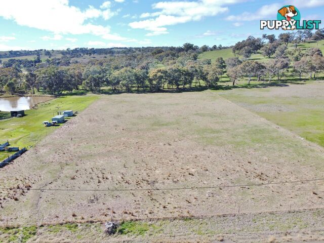 44 Dowling Drive Murringo, via YOUNG NSW 2594