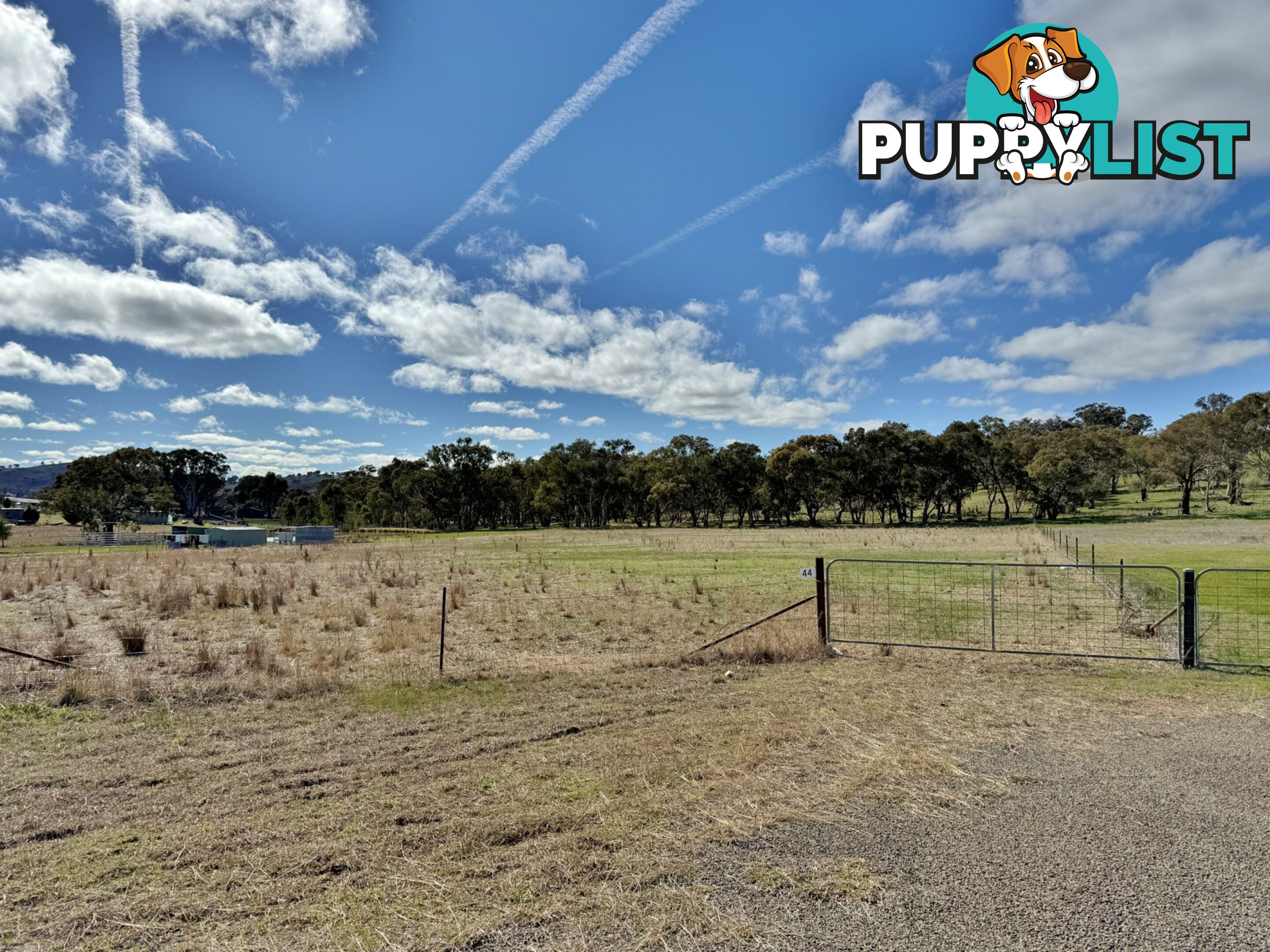 44 Dowling Drive Murringo, via YOUNG NSW 2594