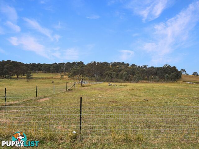 76 Dowling Drive, Murringo via YOUNG NSW 2594