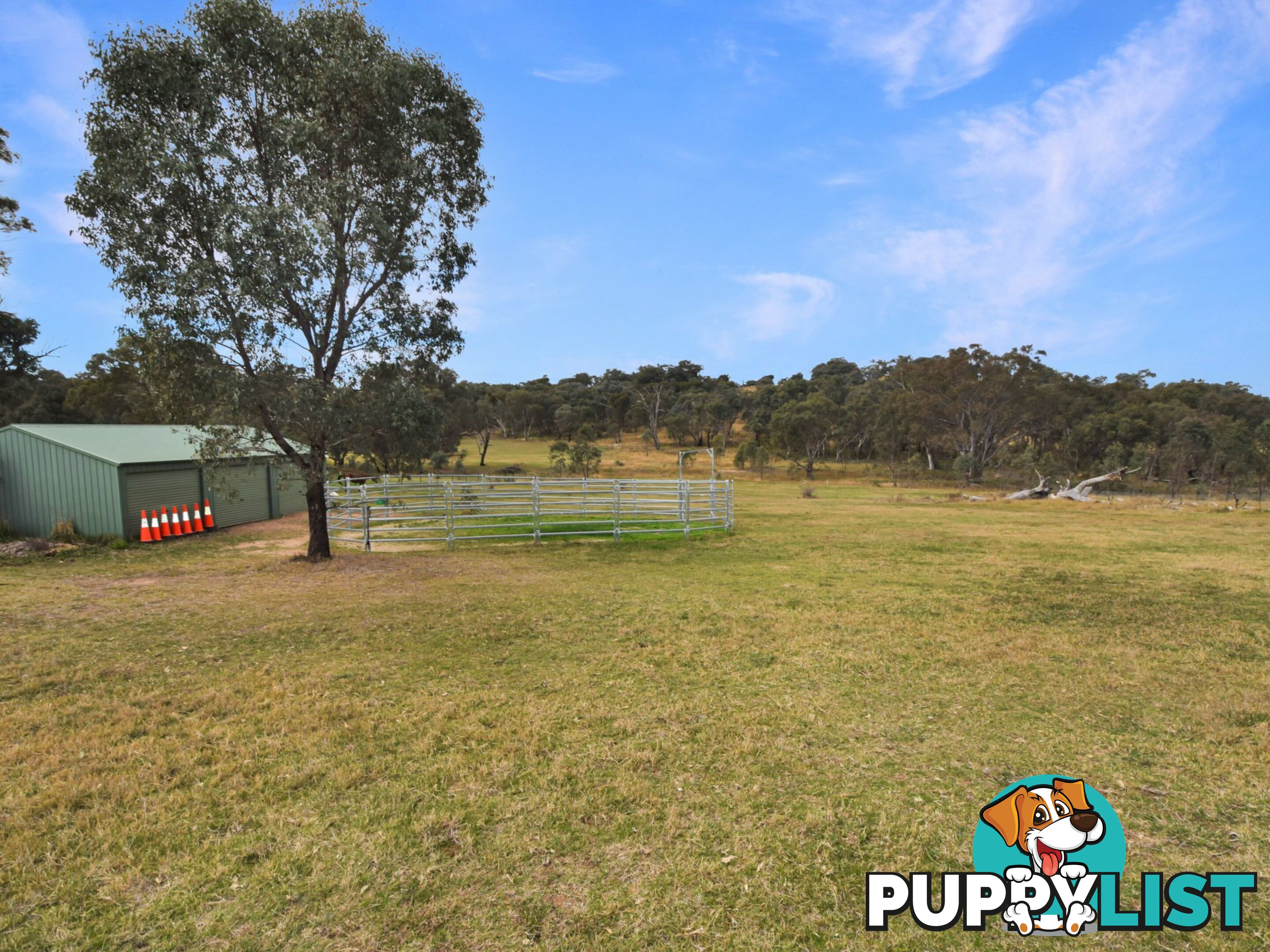 76 Dowling Drive, Murringo via YOUNG NSW 2594