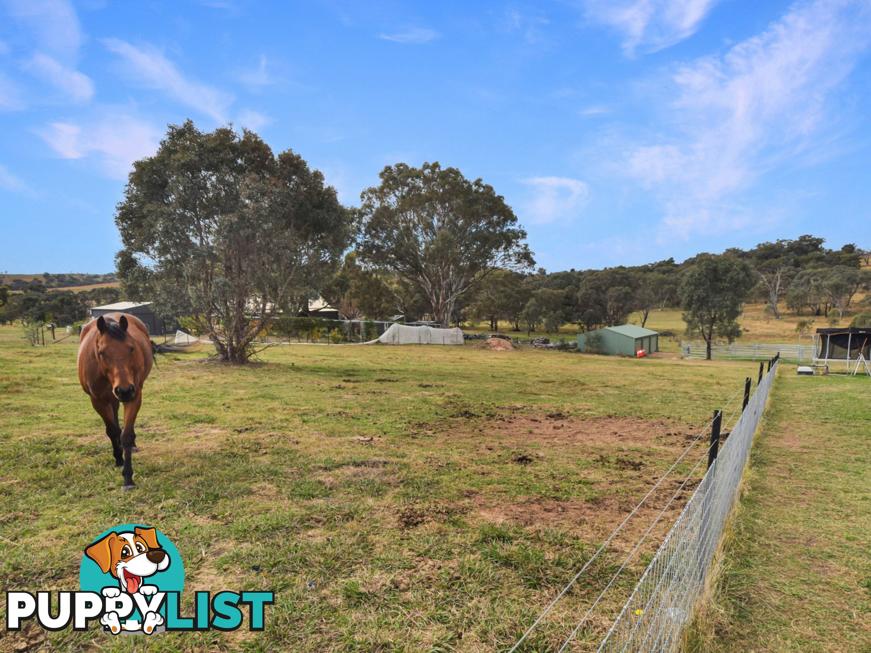 76 Dowling Drive, Murringo via YOUNG NSW 2594