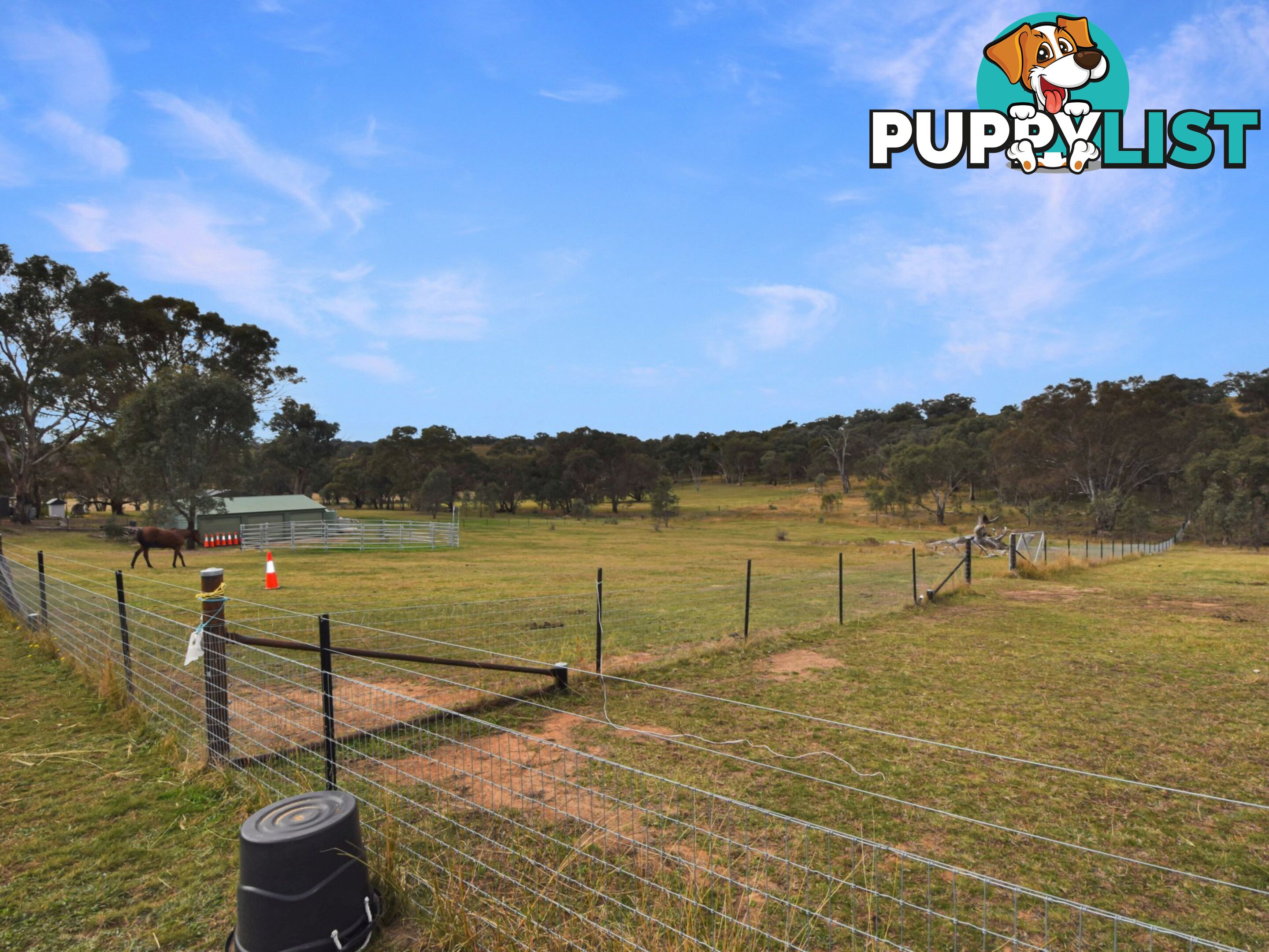 76 Dowling Drive, Murringo via YOUNG NSW 2594