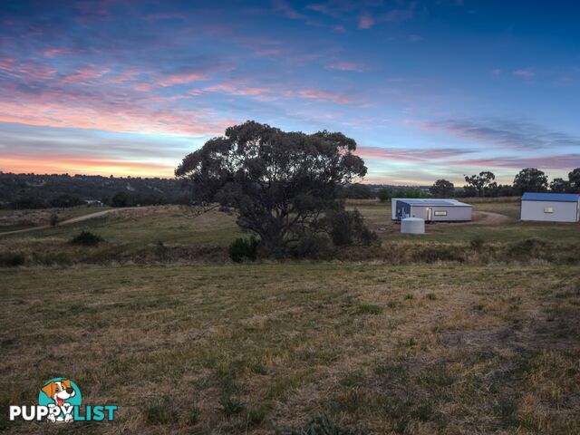 110 Browns Lane YOUNG NSW 2594