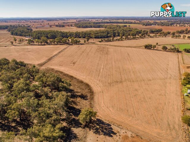 4194 Lachlan Valley Way FORBES NSW 2871