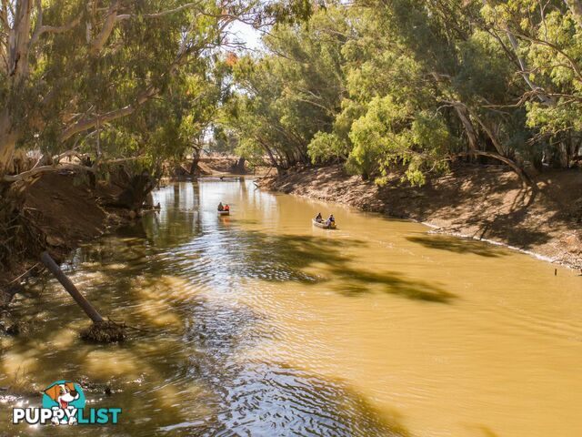 4194 Lachlan Valley Way FORBES NSW 2871