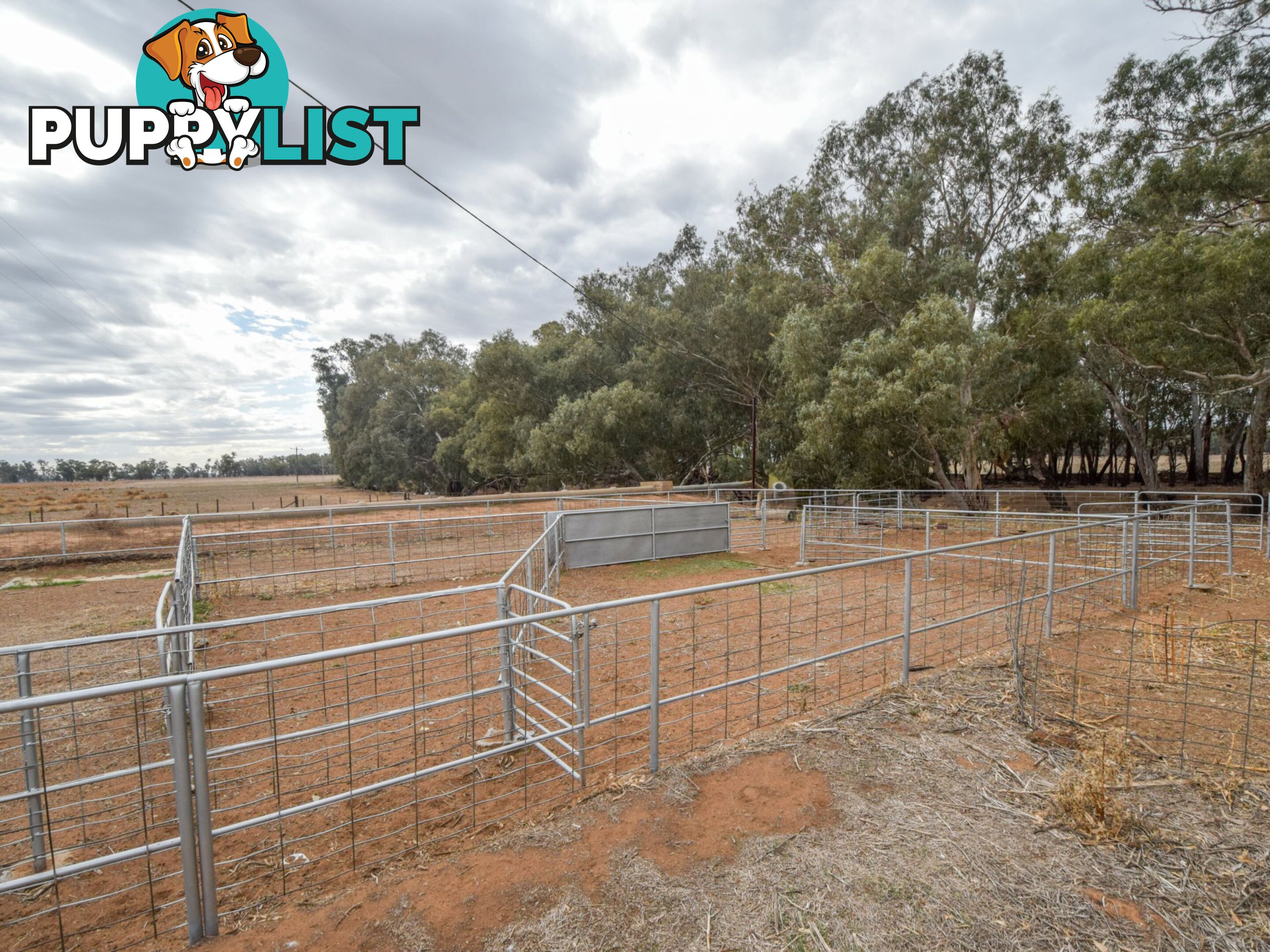 4194 Lachlan Valley Way FORBES NSW 2871