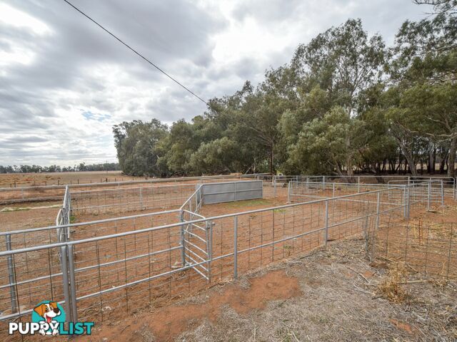 4194 Lachlan Valley Way FORBES NSW 2871