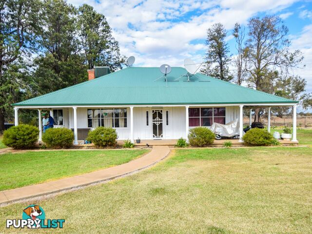 4194 Lachlan Valley Way FORBES NSW 2871