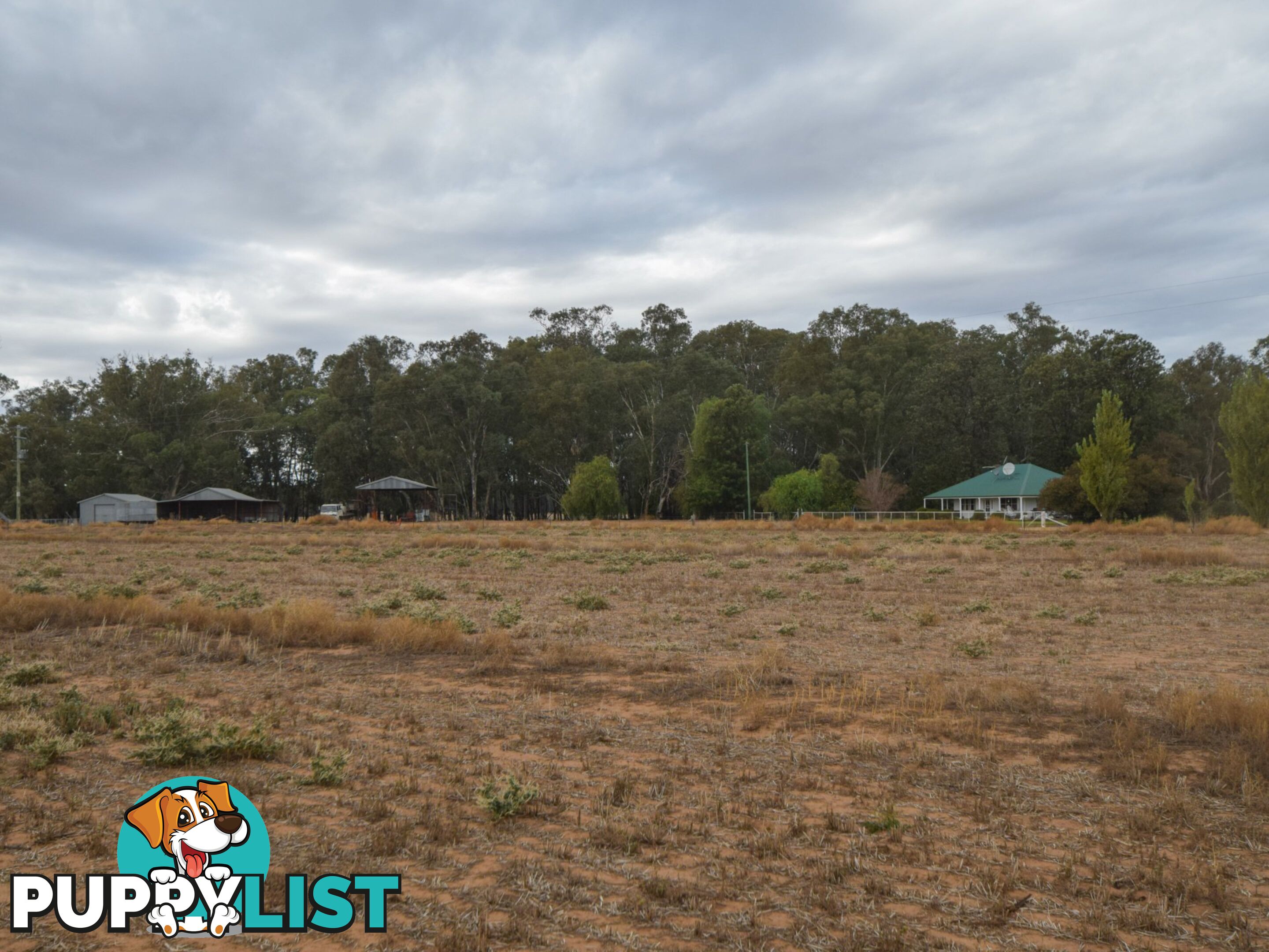 4194 Lachlan Valley Way FORBES NSW 2871