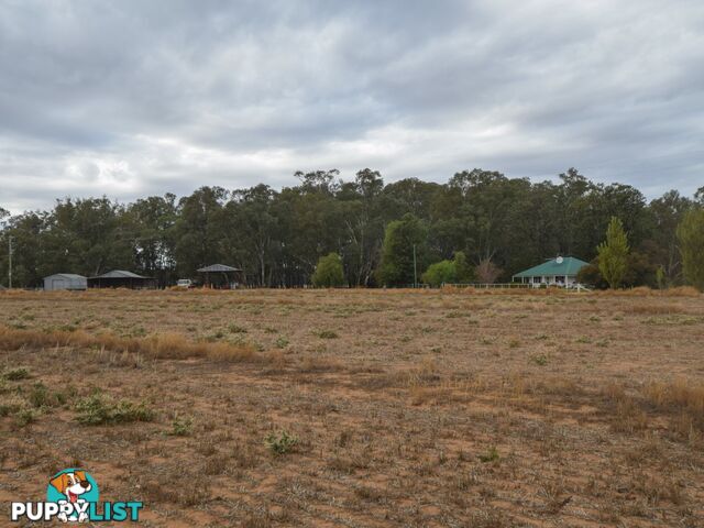 4194 Lachlan Valley Way FORBES NSW 2871