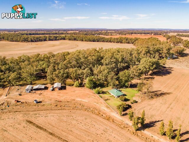 4194 Lachlan Valley Way FORBES NSW 2871