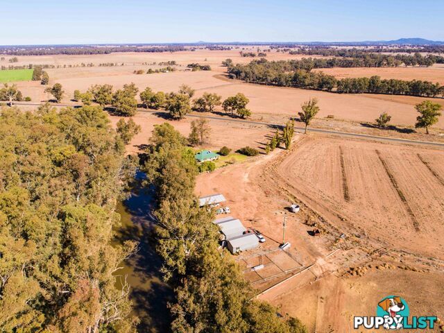 4194 Lachlan Valley Way FORBES NSW 2871