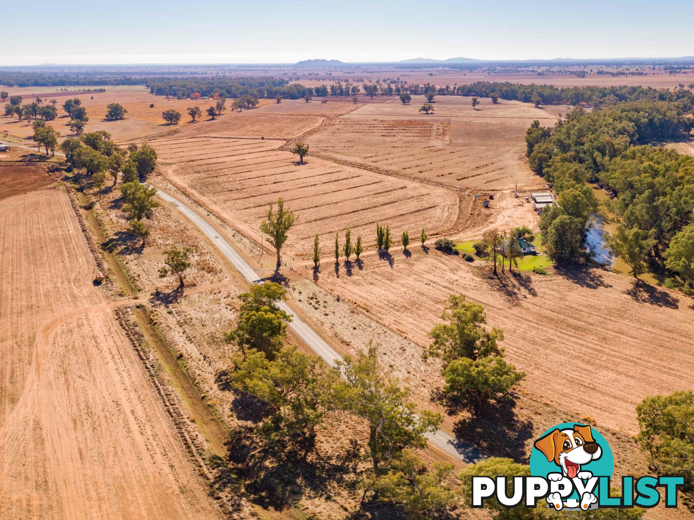 4194 Lachlan Valley Way FORBES NSW 2871