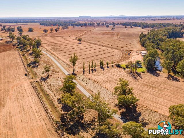 4194 Lachlan Valley Way FORBES NSW 2871