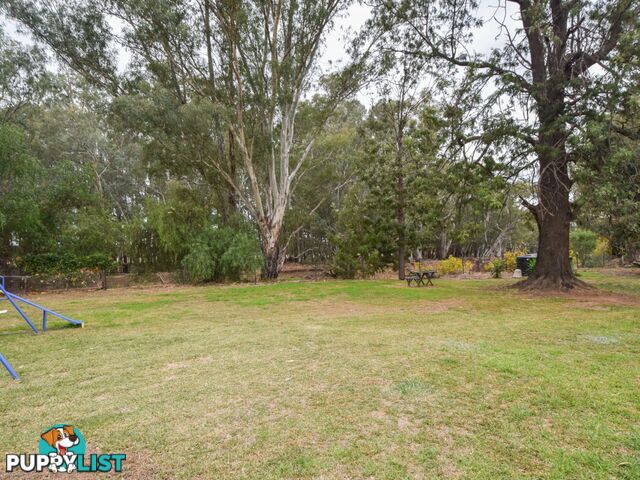 4194 Lachlan Valley Way FORBES NSW 2871