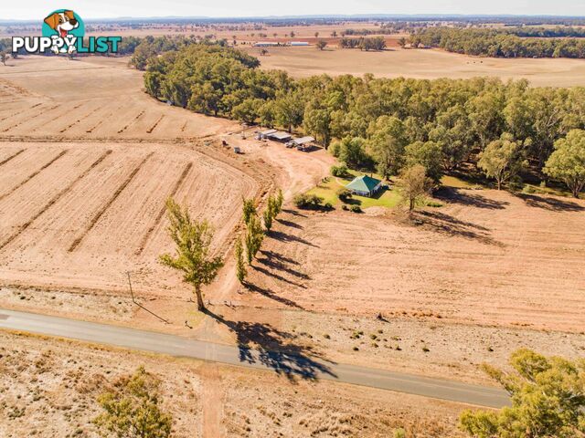 4194 Lachlan Valley Way FORBES NSW 2871