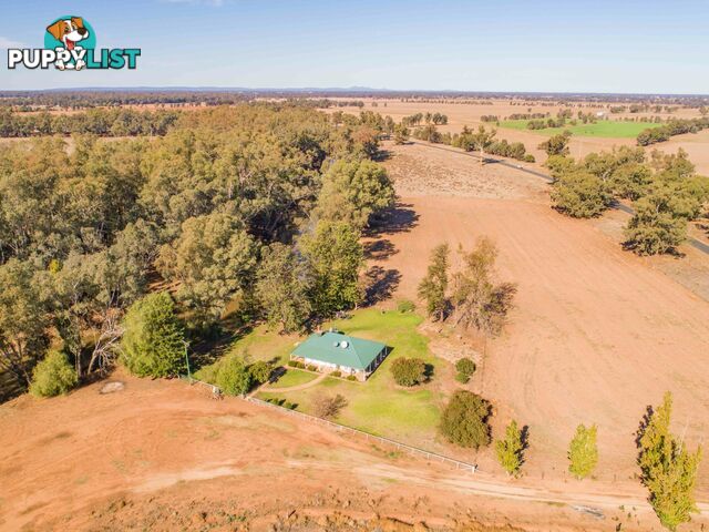 4194 Lachlan Valley Way FORBES NSW 2871