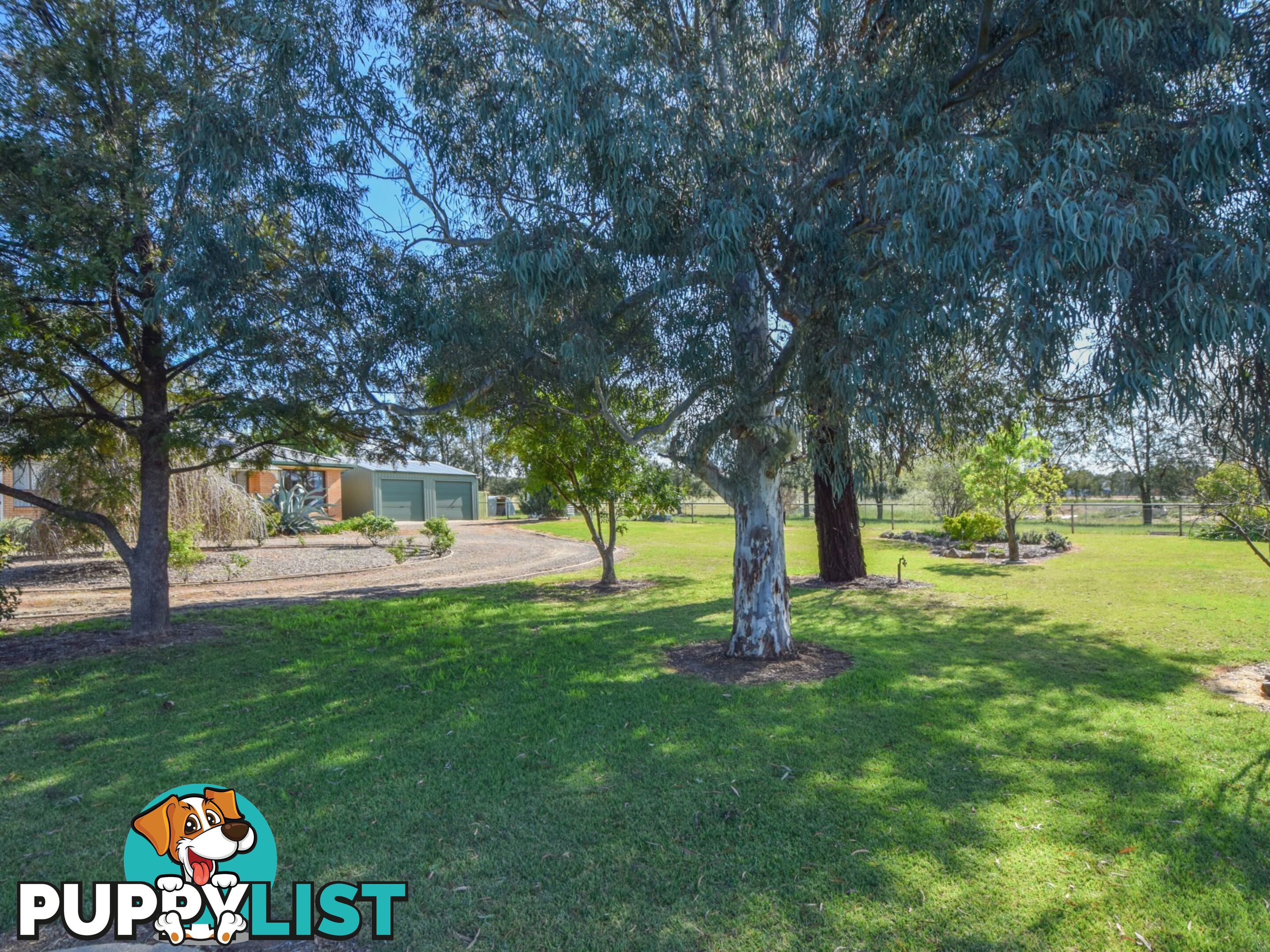 38 Wickham Lane YOUNG NSW 2594