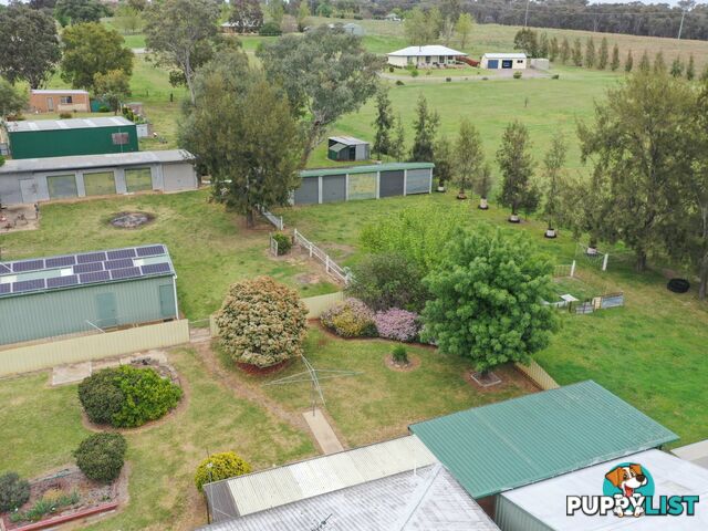 38 Wickham Lane YOUNG NSW 2594