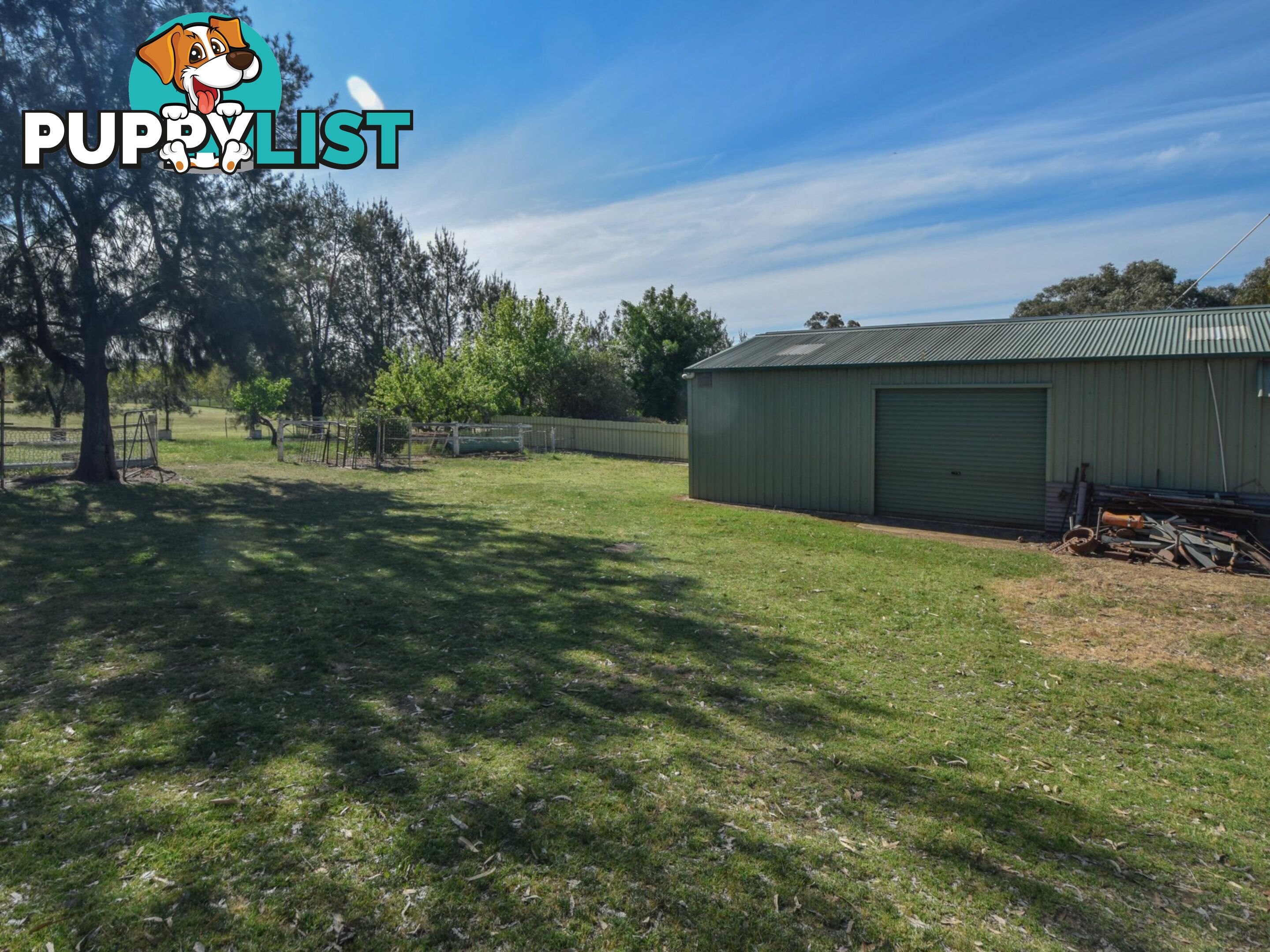 38 Wickham Lane YOUNG NSW 2594