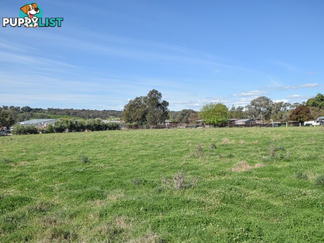 38 Wickham Lane YOUNG NSW 2594