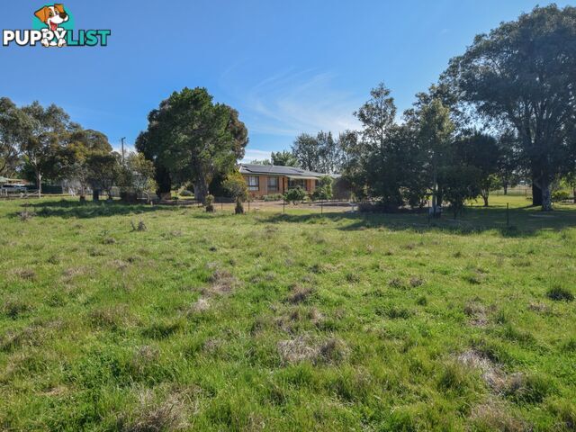 38 Wickham Lane YOUNG NSW 2594