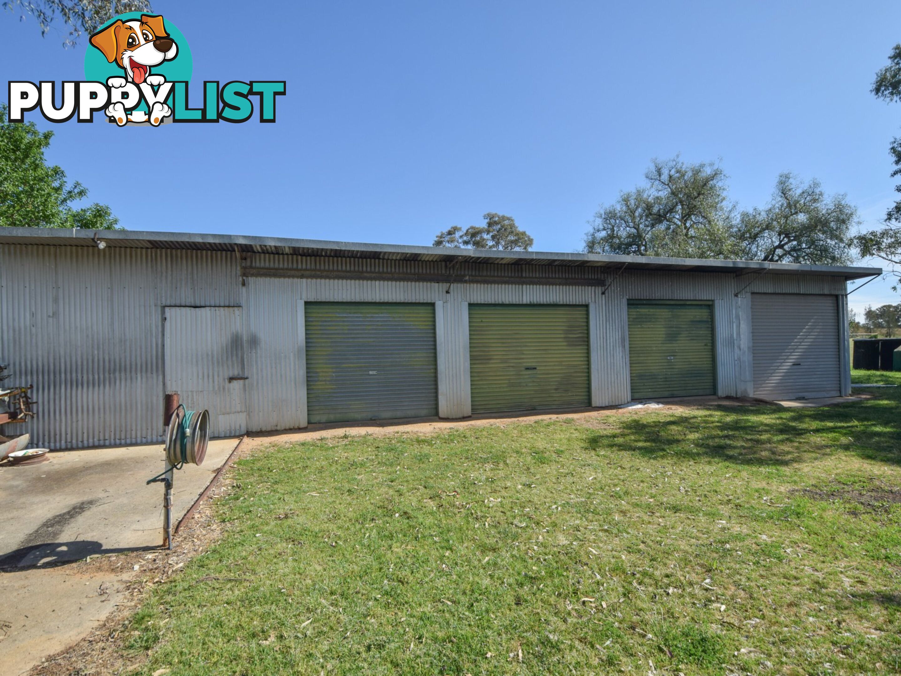 38 Wickham Lane YOUNG NSW 2594