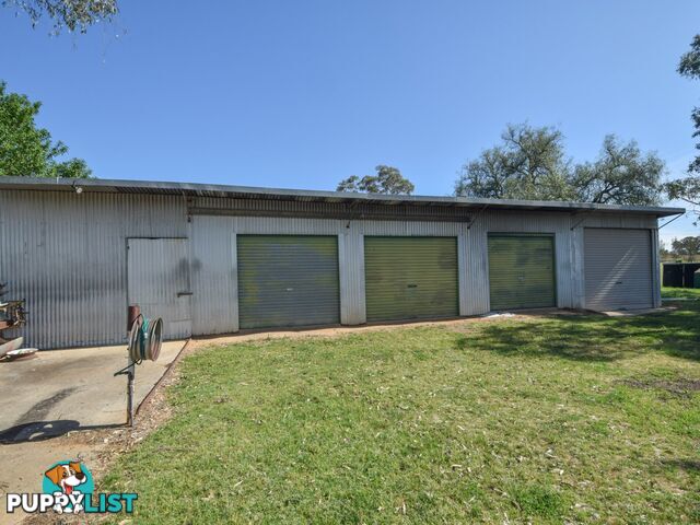 38 Wickham Lane YOUNG NSW 2594