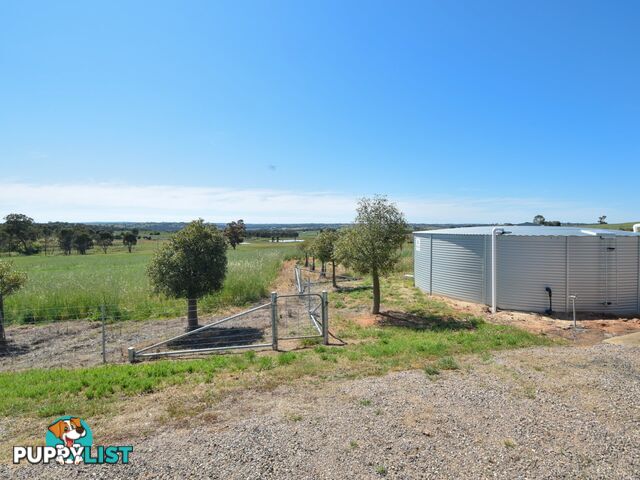 415 Maimuru SS Road Maimuru YOUNG NSW 2594