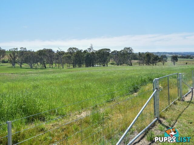 415 Maimuru SS Road Maimuru YOUNG NSW 2594