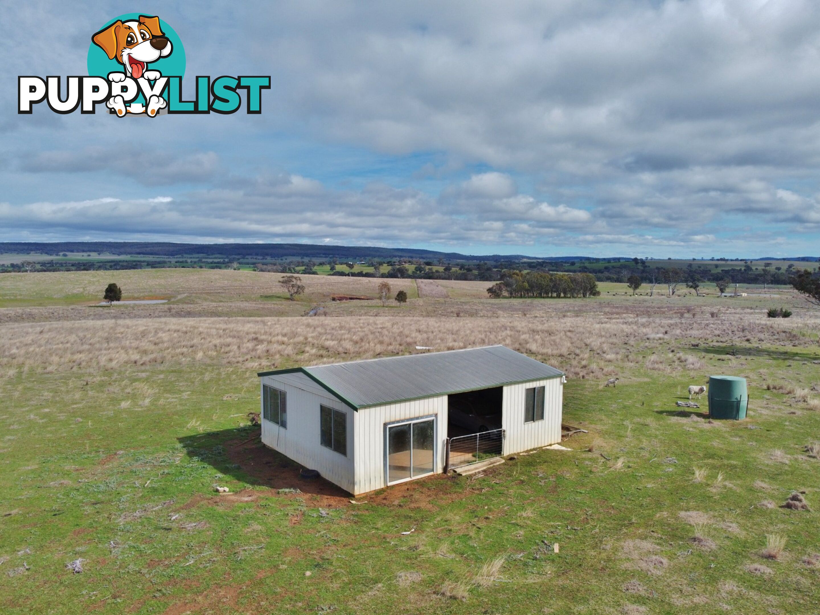 127 Calabash Road, Murringo, via YOUNG NSW 2594