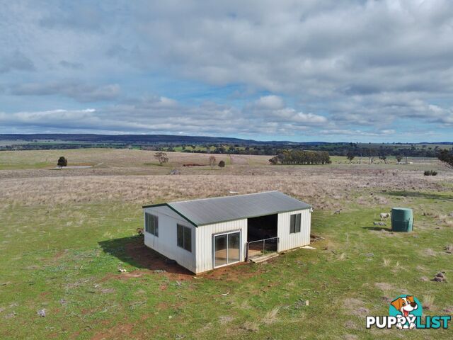 127 Calabash Road, Murringo, via YOUNG NSW 2594