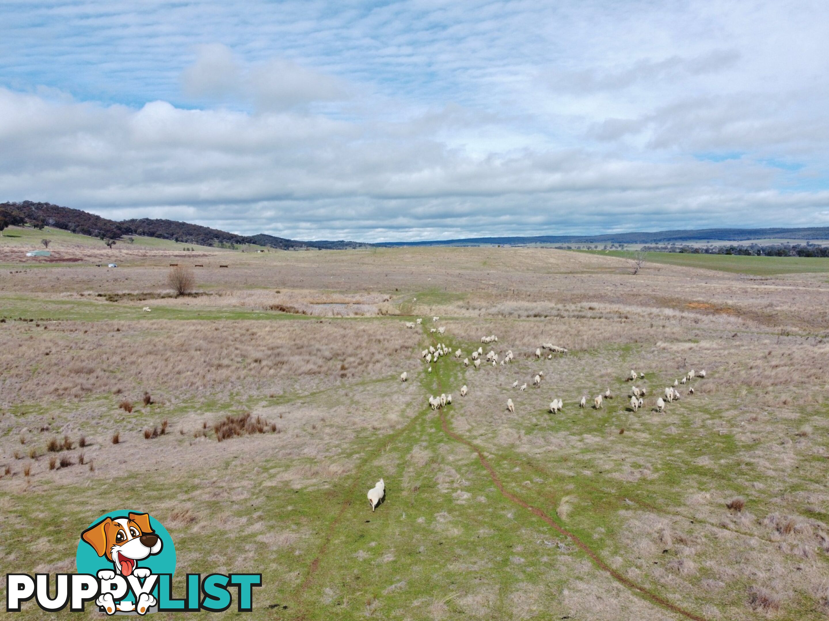 127 Calabash Road, Murringo, via YOUNG NSW 2594
