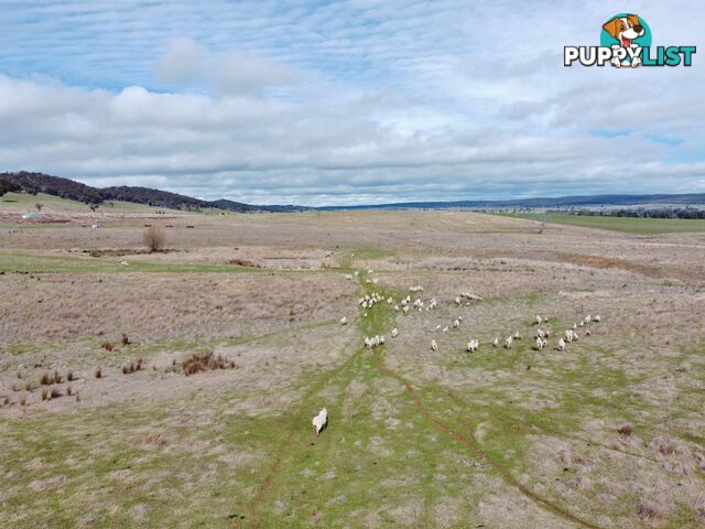 127 Calabash Road, Murringo, via YOUNG NSW 2594