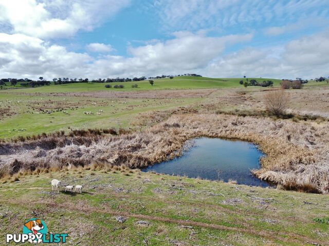 127 Calabash Road, Murringo, via YOUNG NSW 2594