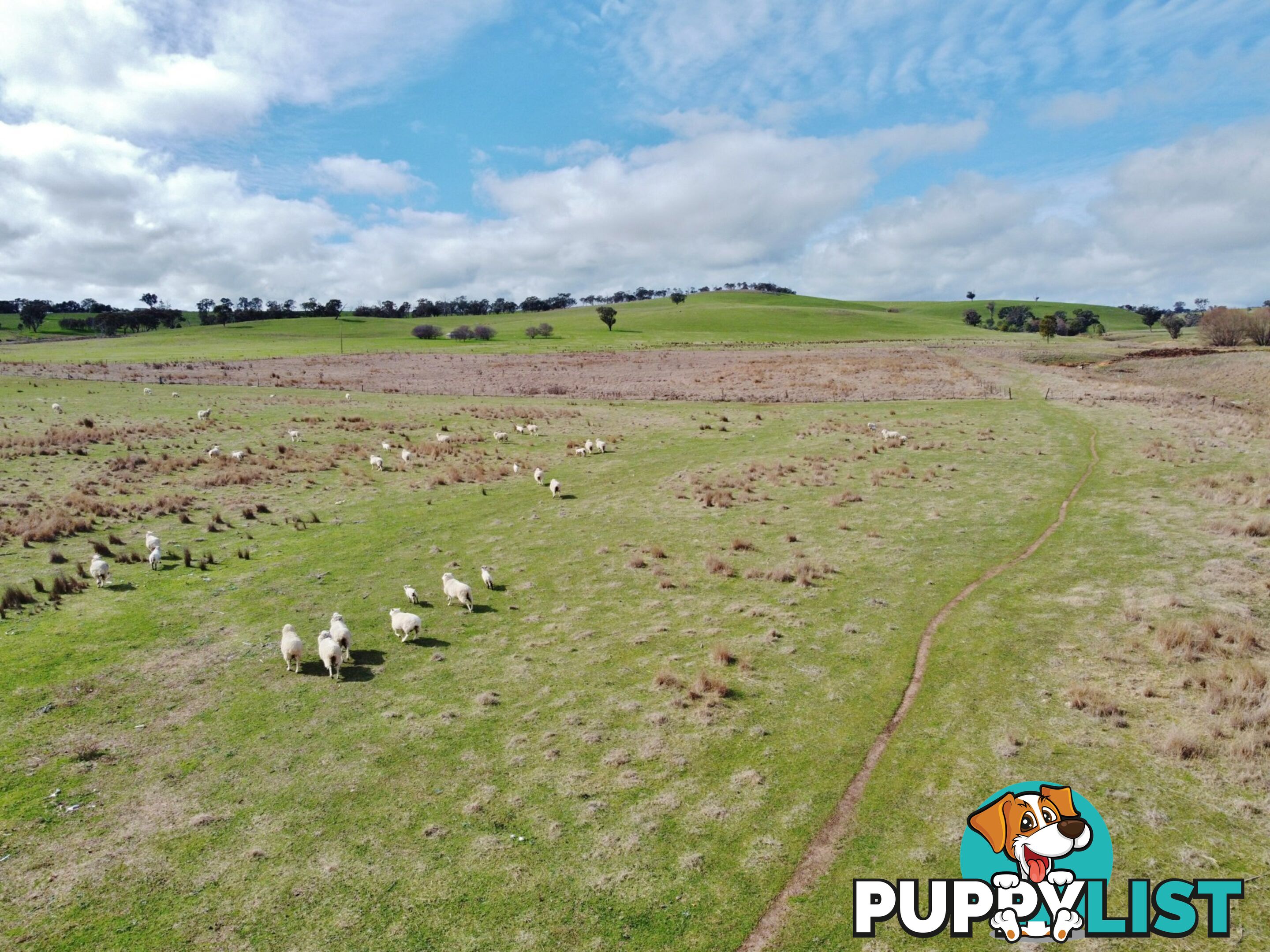 127 Calabash Road, Murringo, via YOUNG NSW 2594