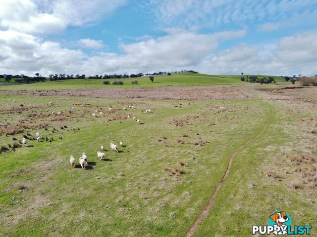 127 Calabash Road, Murringo, via YOUNG NSW 2594