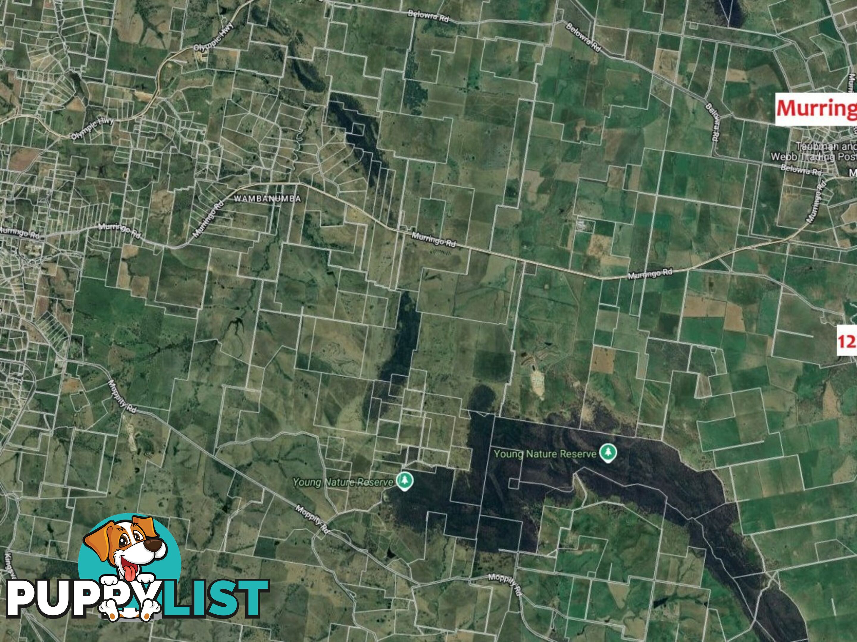 127 Calabash Road, Murringo, via YOUNG NSW 2594