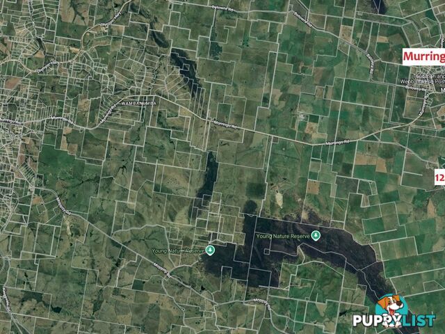 127 Calabash Road, Murringo, via YOUNG NSW 2594