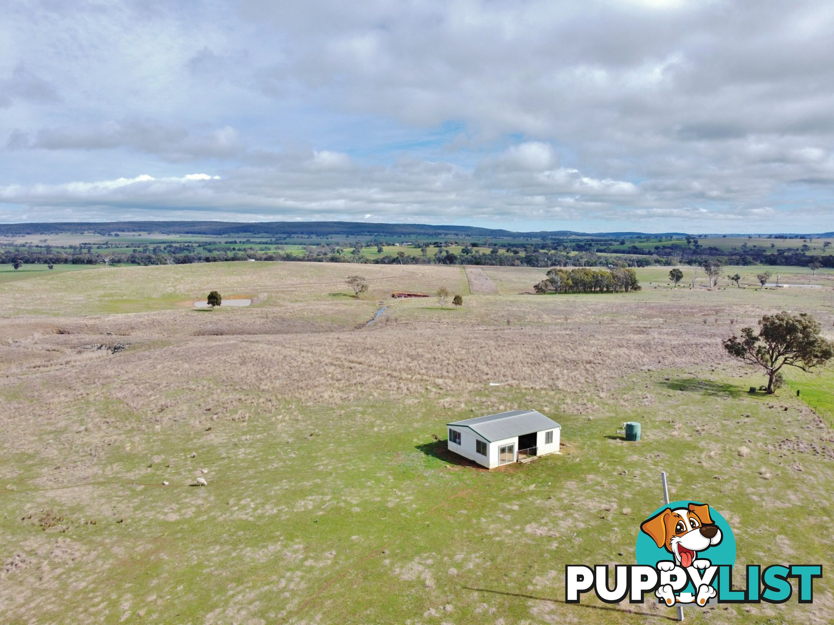 127 Calabash Road, Murringo, via YOUNG NSW 2594