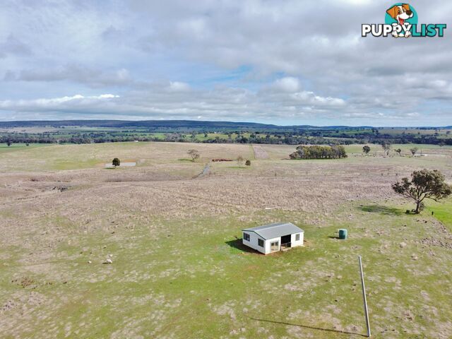 127 Calabash Road, Murringo, via YOUNG NSW 2594