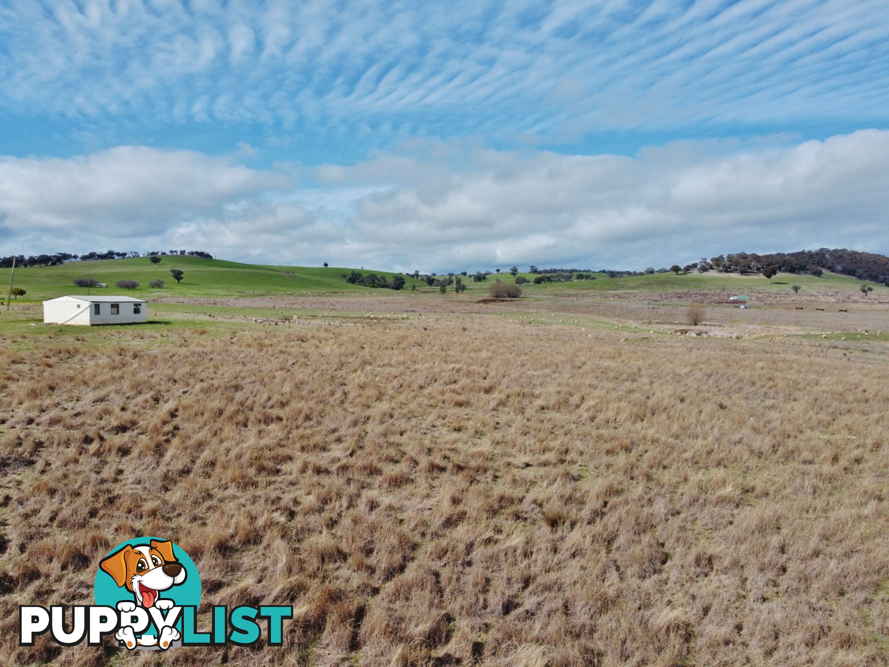 127 Calabash Road, Murringo, via YOUNG NSW 2594